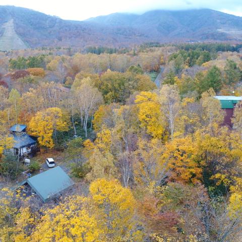 DJI_0160