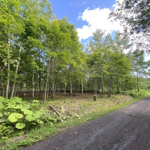 Kondo_Niseko_Land_1