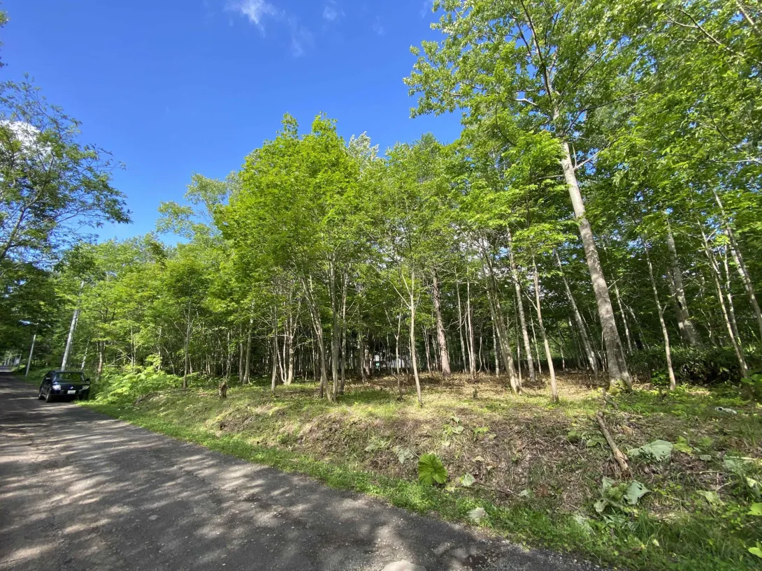 Kondo_Niseko_Land_1
